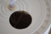 Sparge arm
