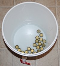 Sanitize Caps