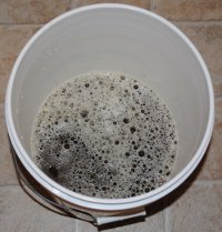 In the fermenter